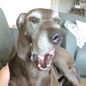 Meet your Posher, Kasandra